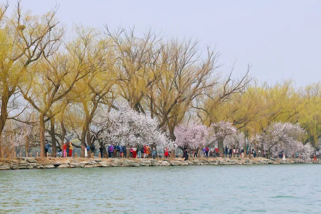 北京推出15條“最美園路”！點擊收藏——