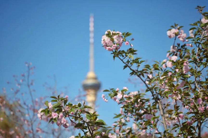踏青賞花購(gòu)好物，北京本月將推出400余項(xiàng)重點(diǎn)促消費(fèi)活動(dòng)