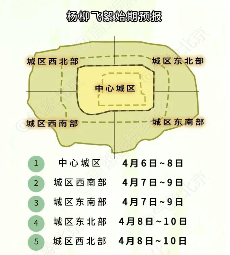 北京進(jìn)入飛絮期 緊急提醒！