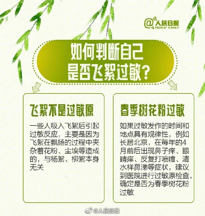 北京進(jìn)入飛絮期 緊急提醒！