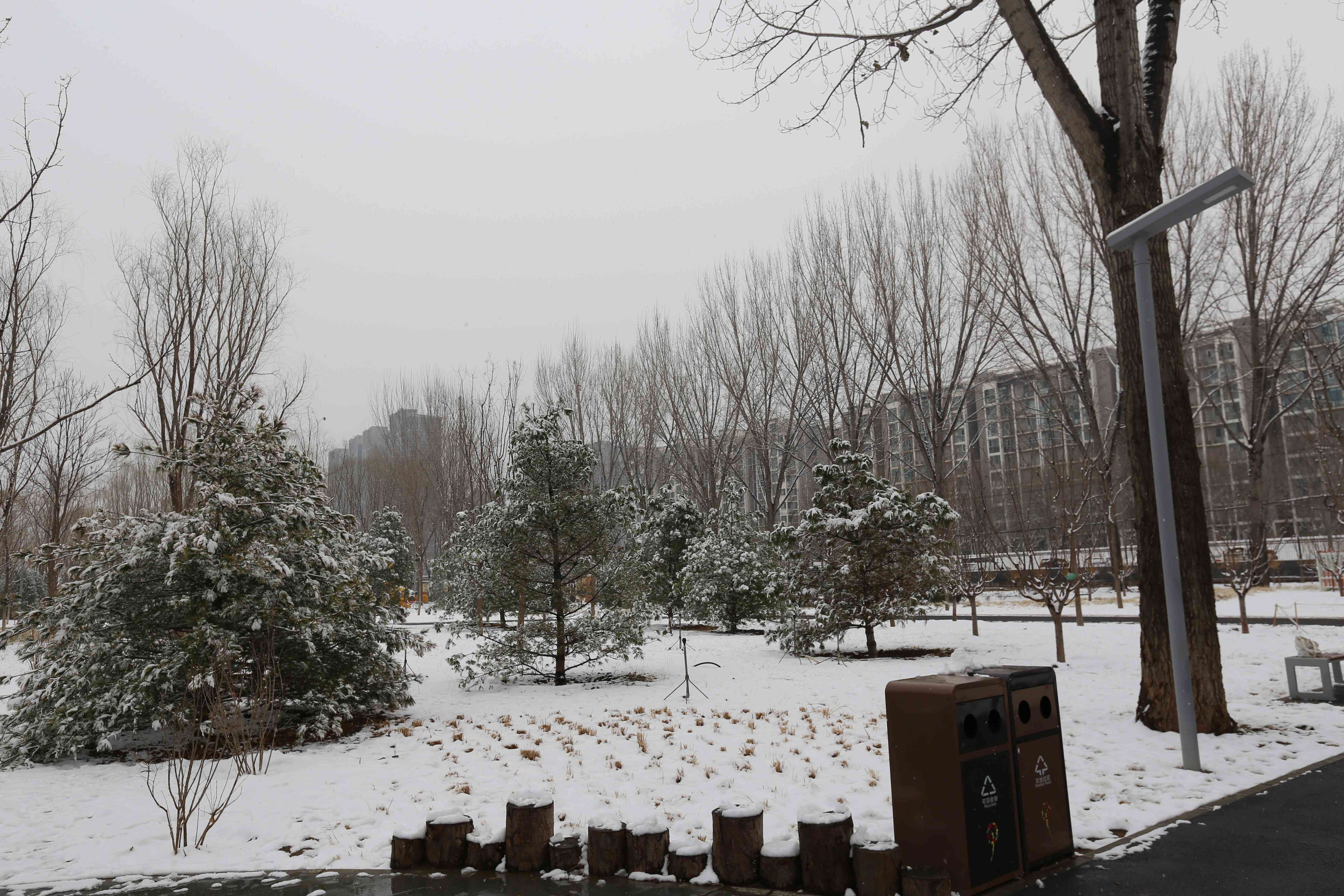 全齡樂活 觀鳥尋趣！昌平這兩個公園成為打卡新地標(biāo)