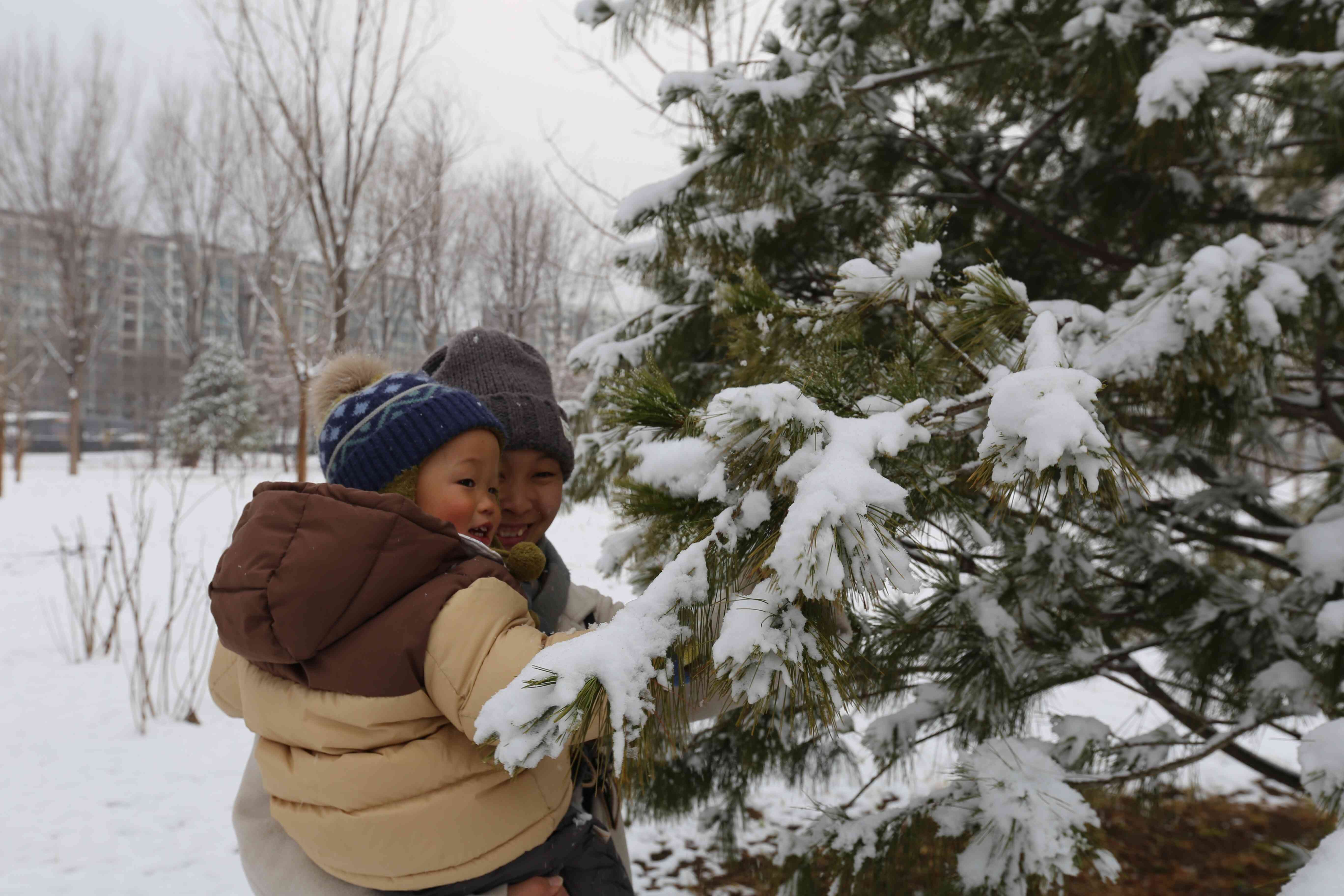 全齡樂活 觀鳥尋趣！昌平這兩個公園成為打卡新地標(biāo)