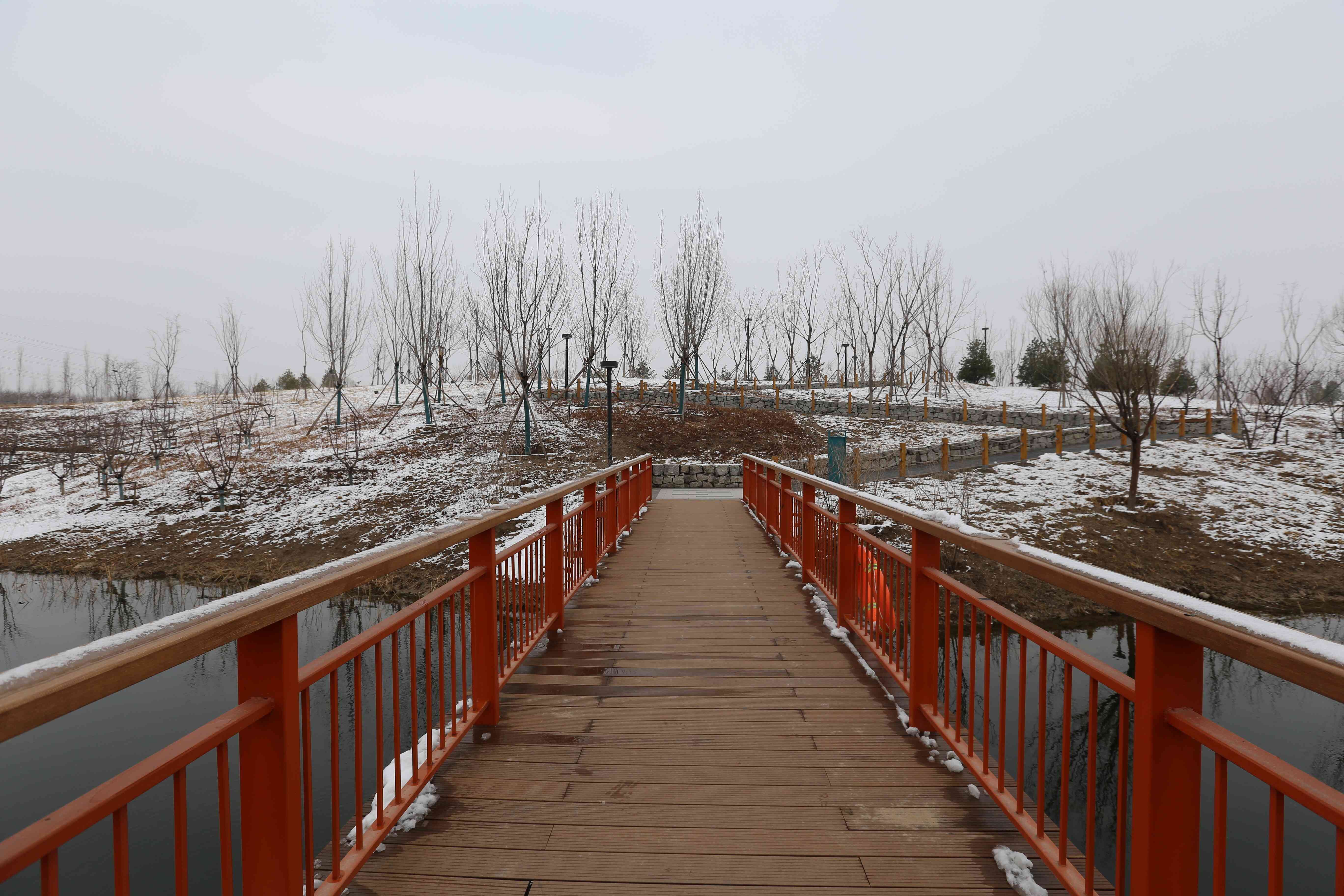 全齡樂活 觀鳥尋趣！昌平這兩個公園成為打卡新地標(biāo)