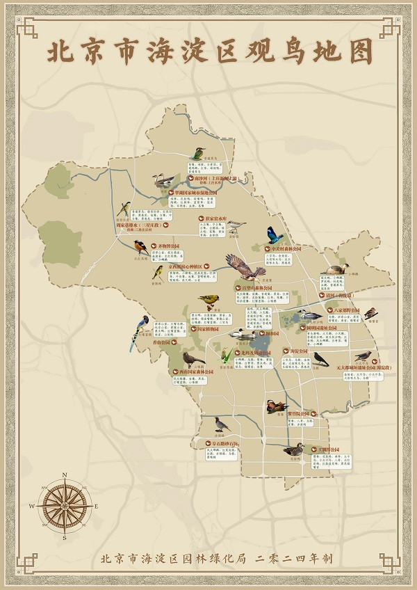 海淀觀鳥地圖發(fā)布 到21處觀鳥點位邂逅鳥“明星”