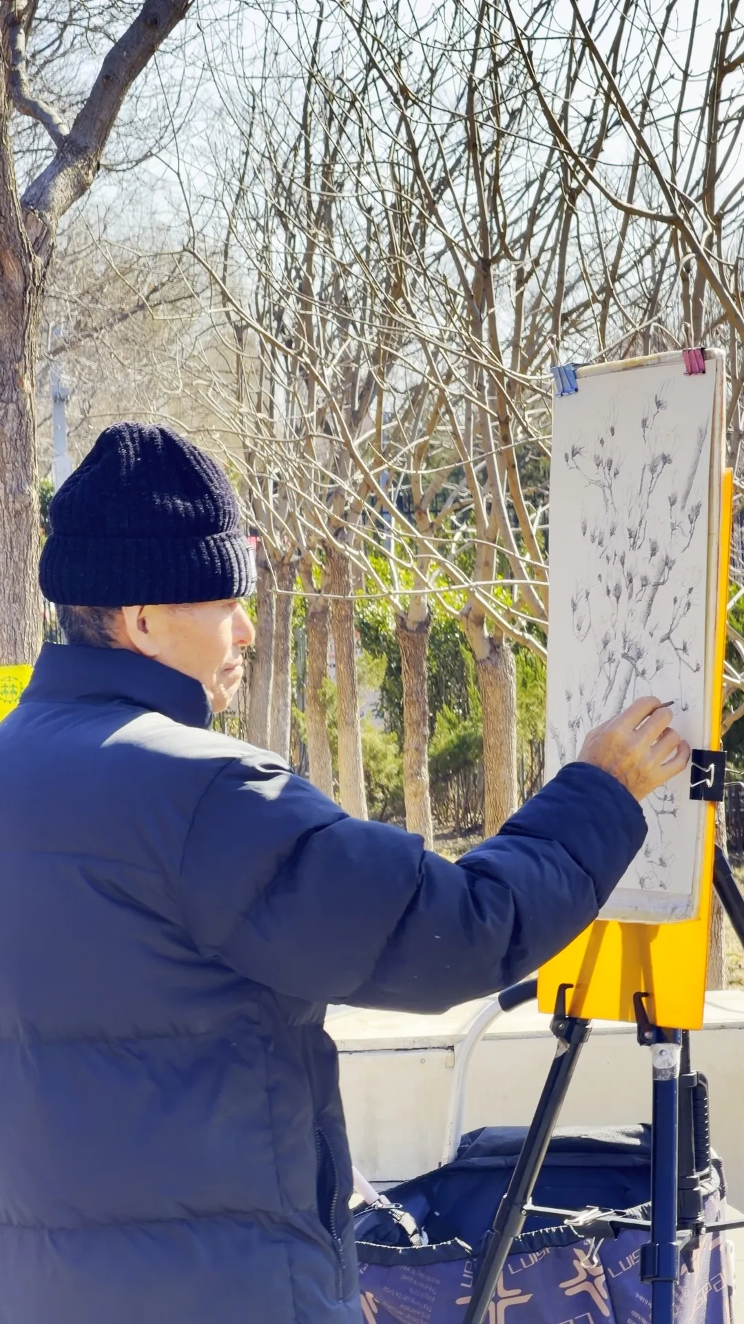 瞧 北京國際雕塑公園的“小鳥玉蘭”破殼啦！