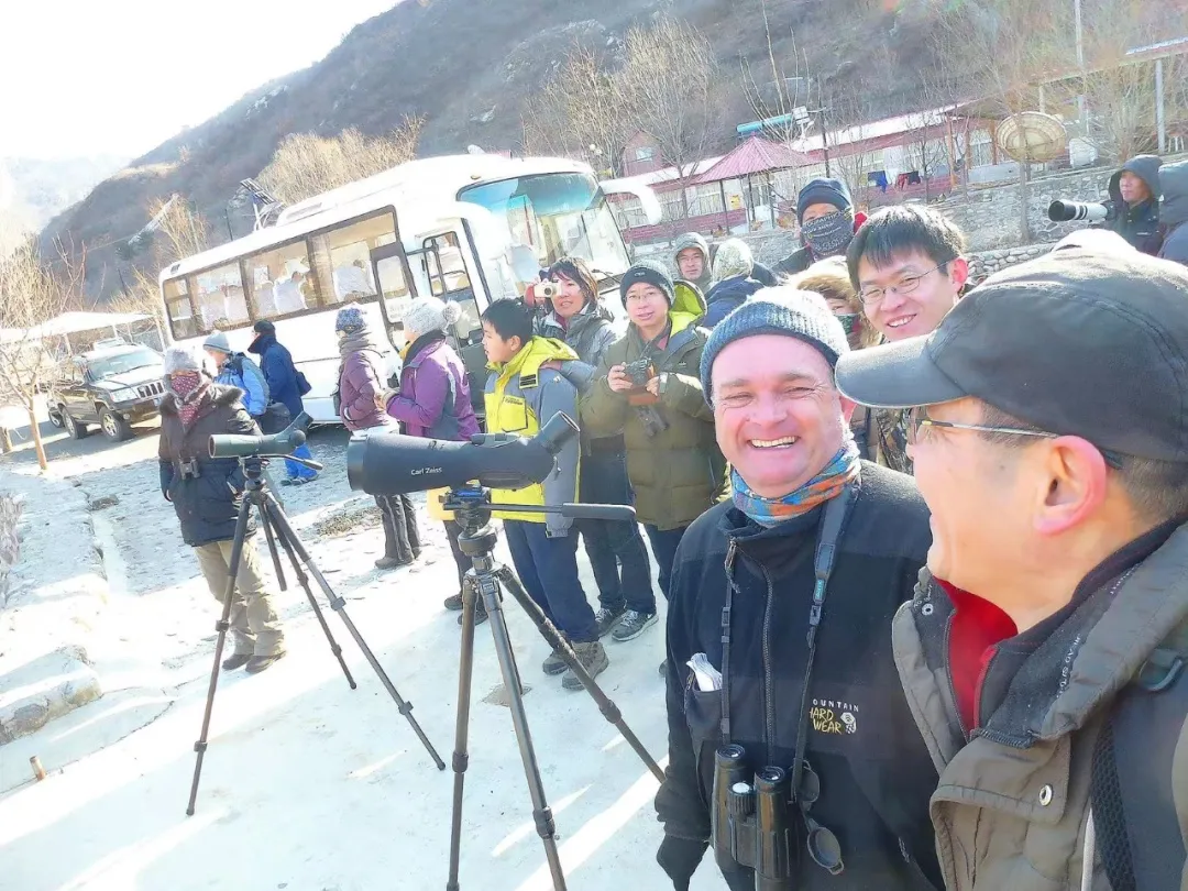 誰(shuí)家鳥(niǎo)回來(lái)啦？這份北京春季觀鳥(niǎo)指南請(qǐng)查收