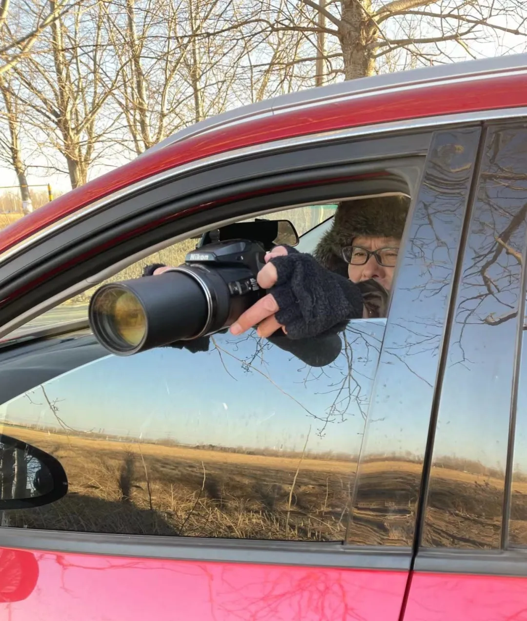 誰(shuí)家鳥(niǎo)回來(lái)啦？這份北京春季觀鳥(niǎo)指南請(qǐng)查收