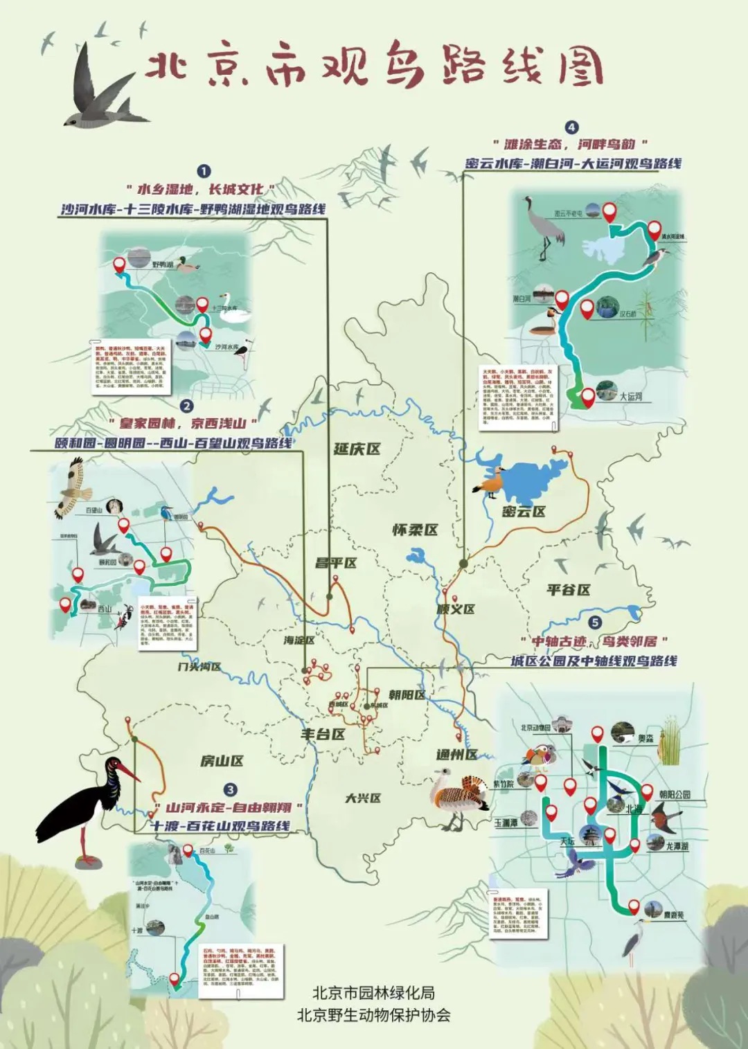 北京市觀鳥路線圖發(fā)布