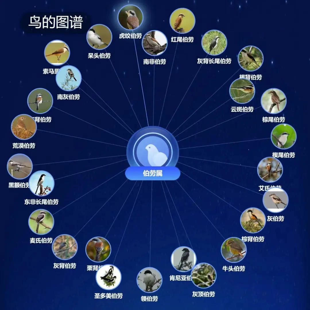 @李現(xiàn) 22個！北京還有這些“打鳥”勝地 附地圖→