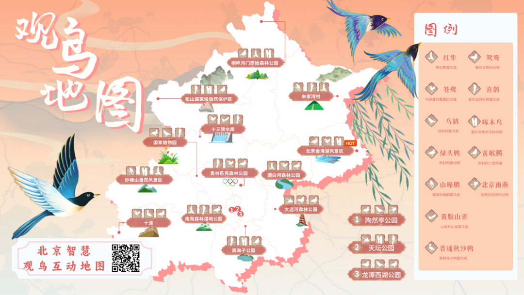 @李現(xiàn) 22個！北京還有這些“打鳥”勝地 附地圖→