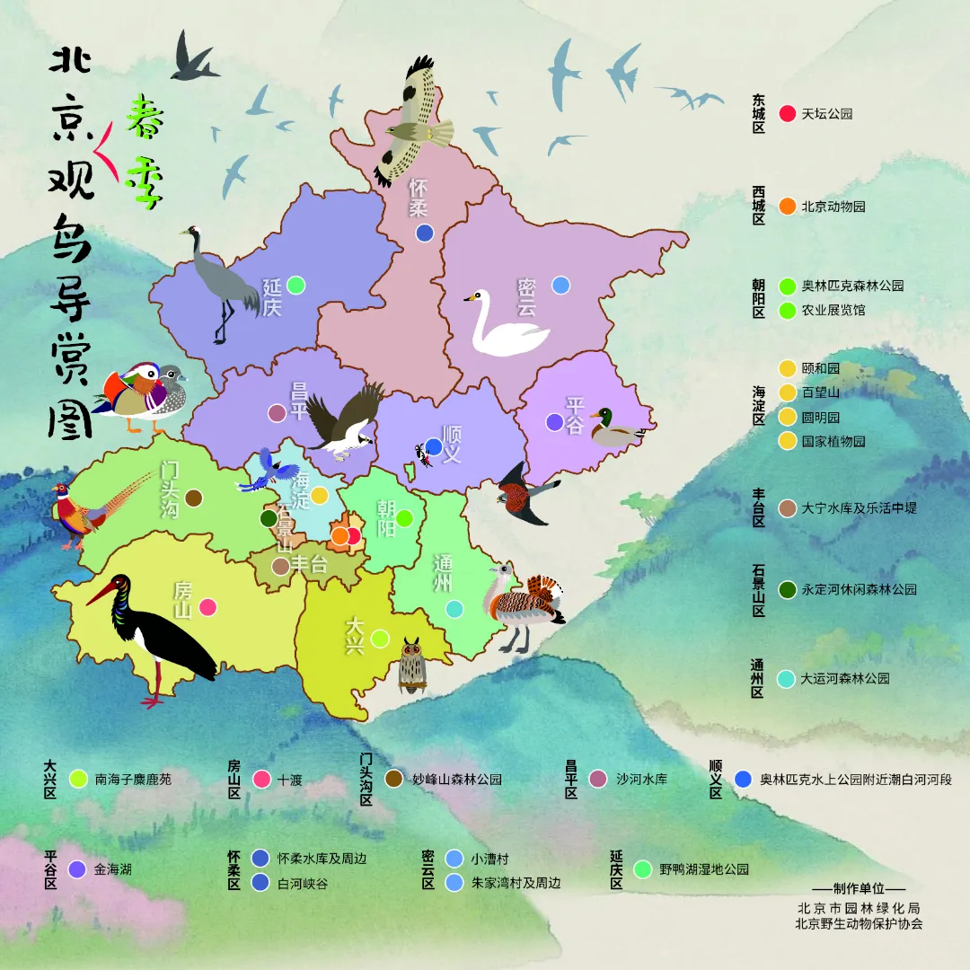 @李現(xiàn) 22個！北京還有這些“打鳥”勝地 附地圖→