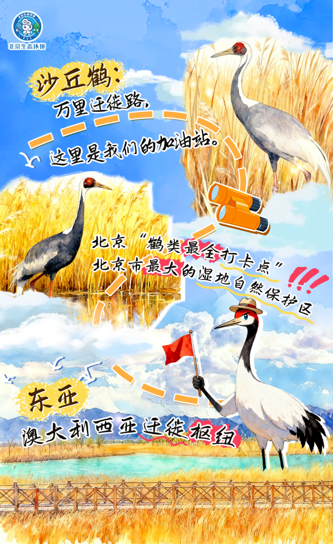 觀鳥季倒計(jì)時(shí)（一） 現(xiàn)在就出發(fā)！