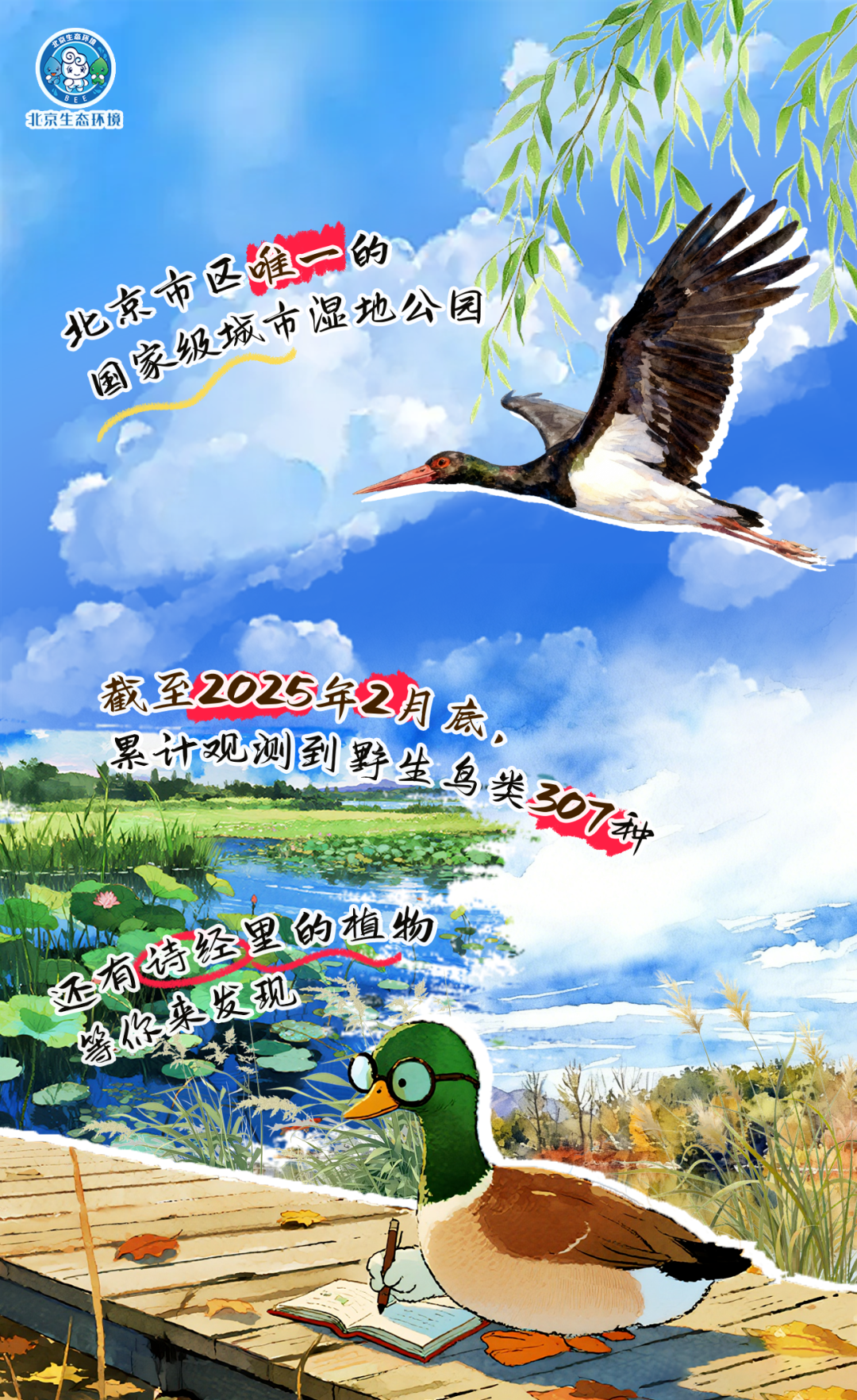 觀鳥季倒計(jì)時(shí)（一） 現(xiàn)在就出發(fā)！