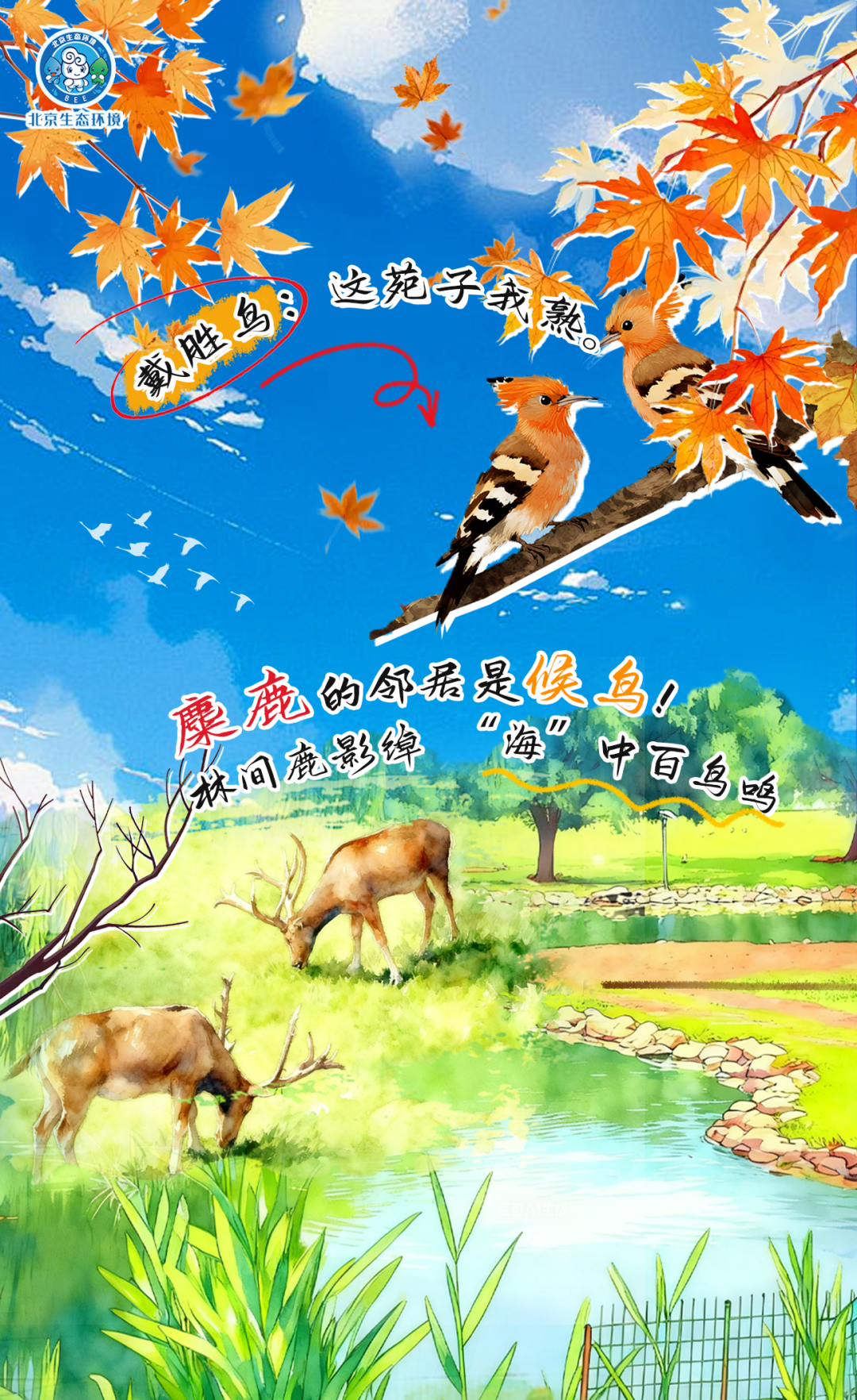 觀鳥季倒計(jì)時(shí)（一） 現(xiàn)在就出發(fā)！