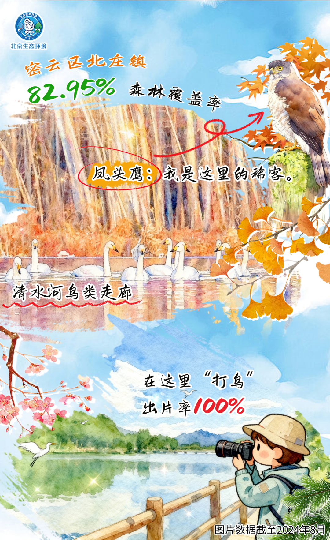 觀鳥季倒計(jì)時(shí)（一） 現(xiàn)在就出發(fā)！