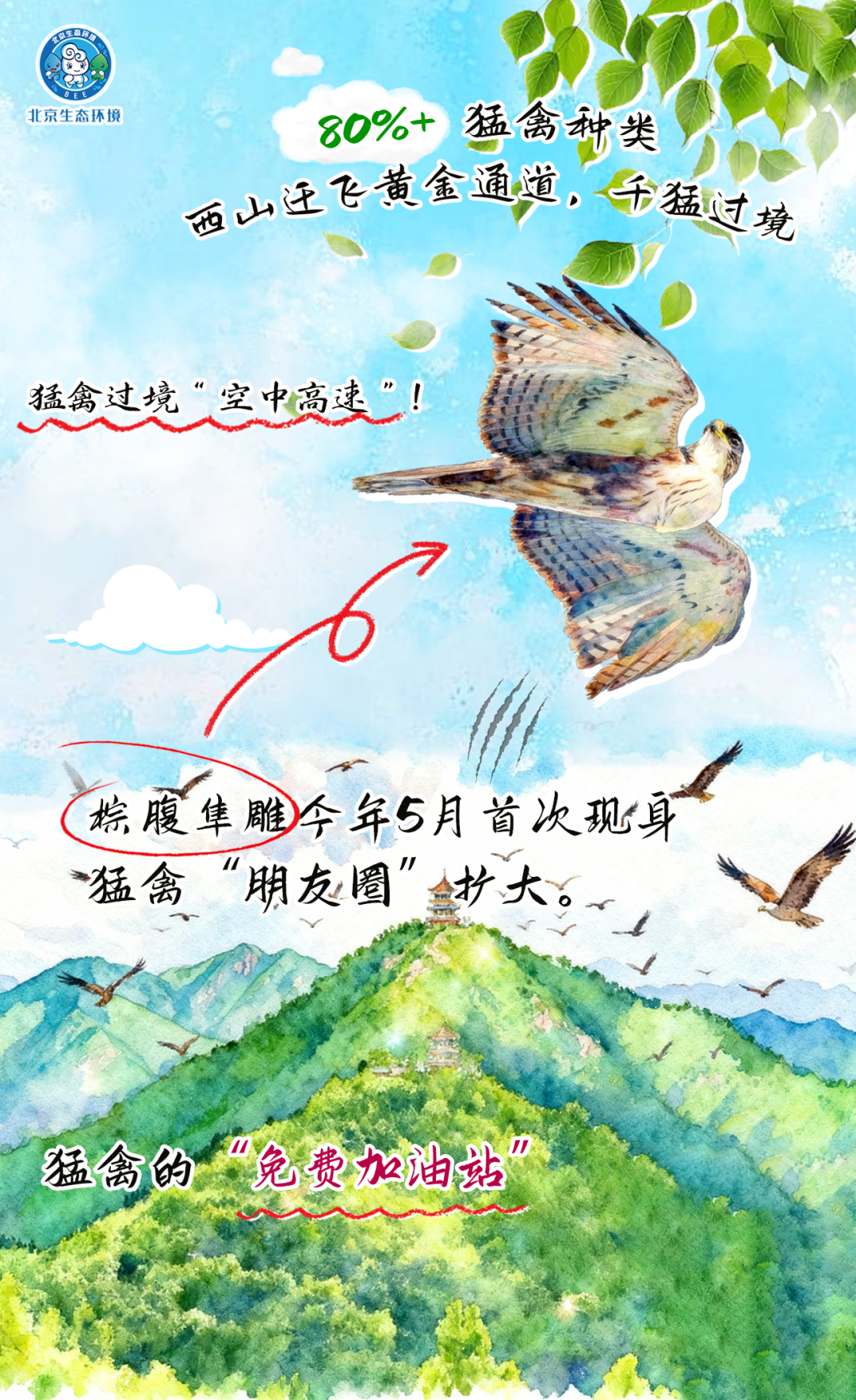 觀鳥季倒計(jì)時(shí)（三） 一起去“打鳥”吧