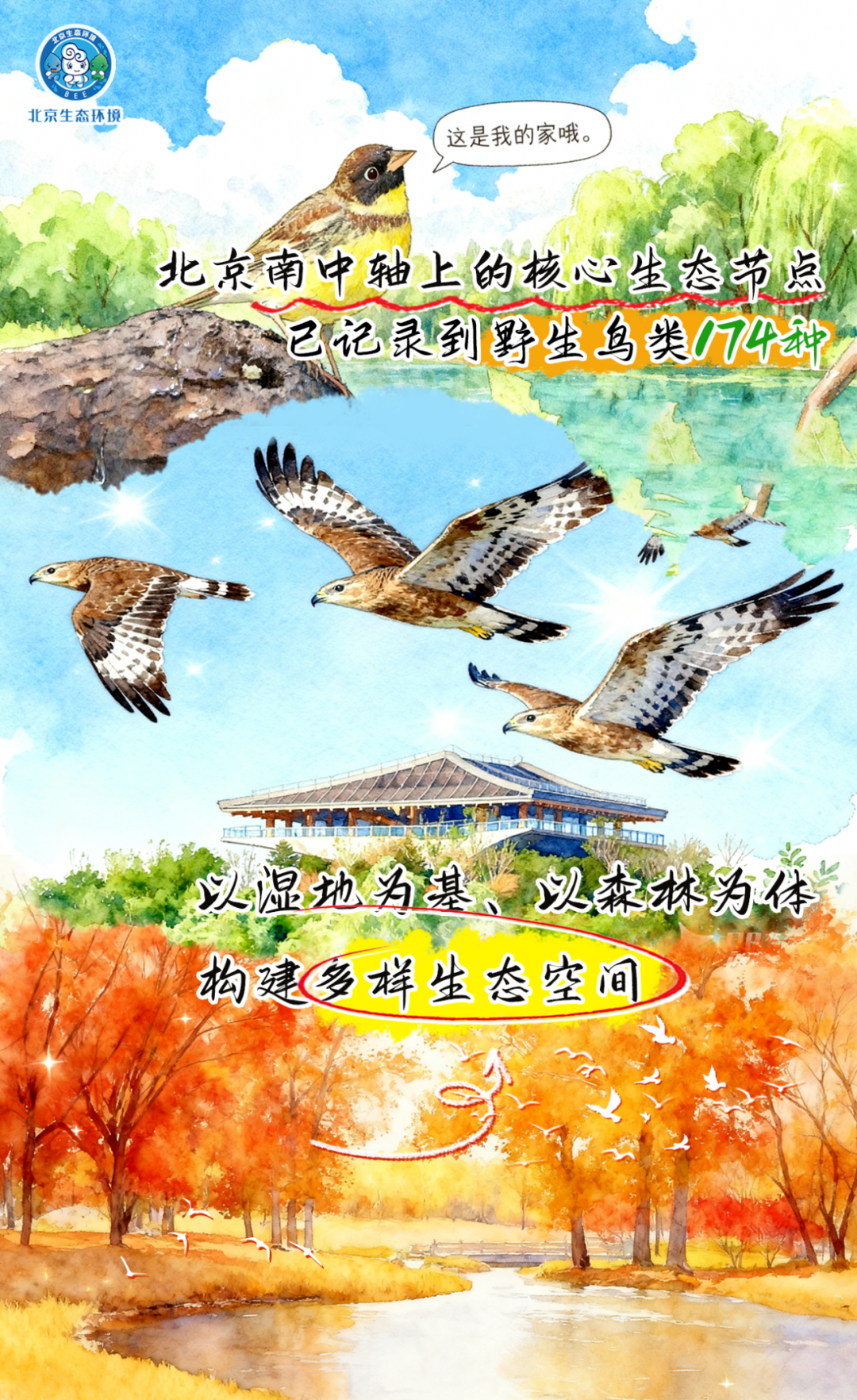 觀鳥季倒計(jì)時(shí)（三） 一起去“打鳥”吧