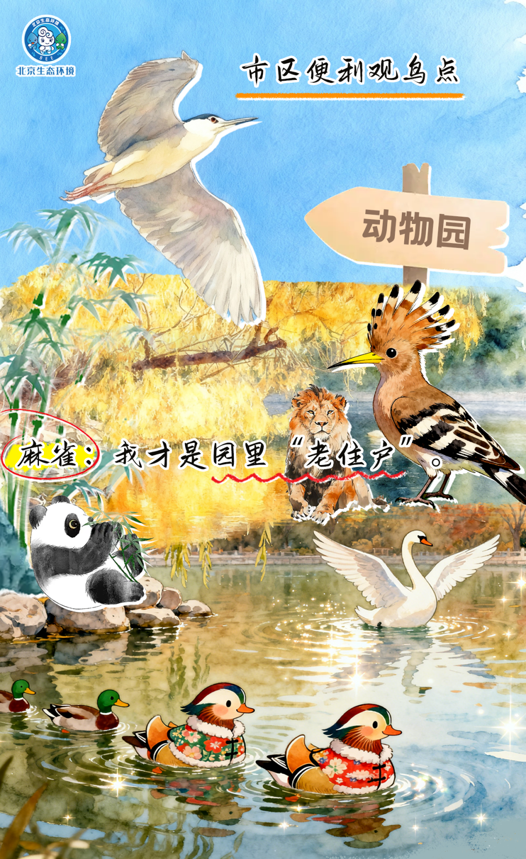 觀鳥季倒計(jì)時(shí)（三） 一起去“打鳥”吧