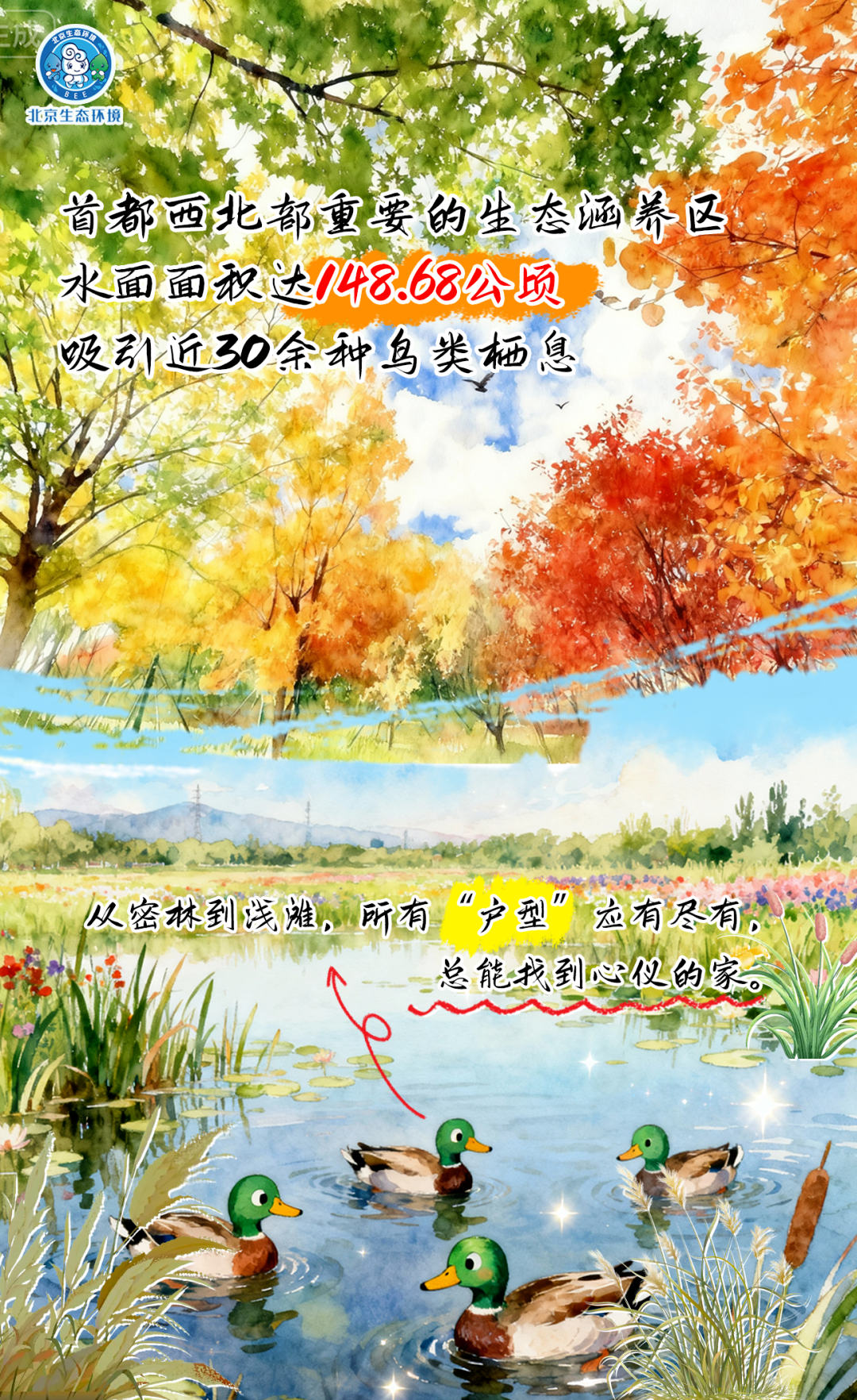 觀鳥季倒計(jì)時(shí)（三） 一起去“打鳥”吧