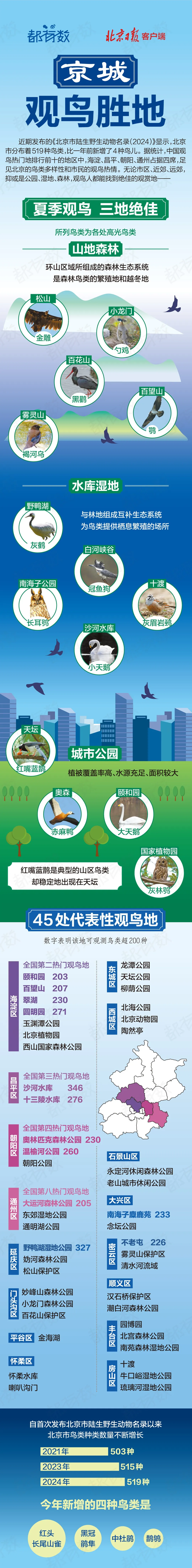 最佳觀鳥季已至！北京這些地點(diǎn)適合觀鳥（建議收藏）
