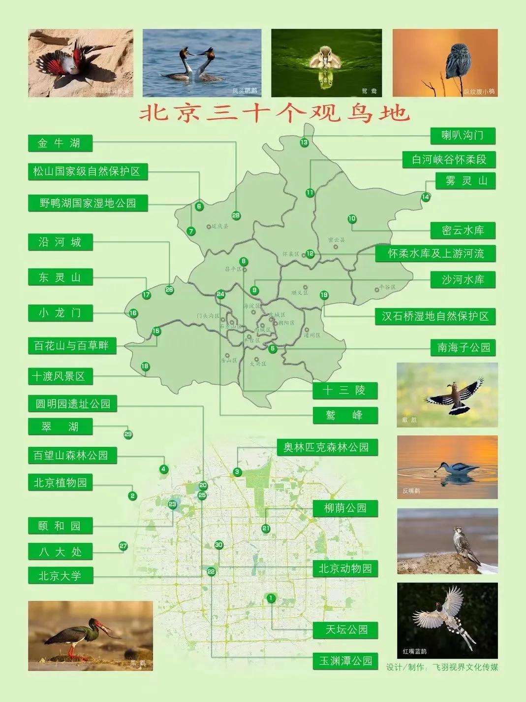 北京的愛(ài)鳥(niǎo)周 到什么地方去觀鳥(niǎo)？