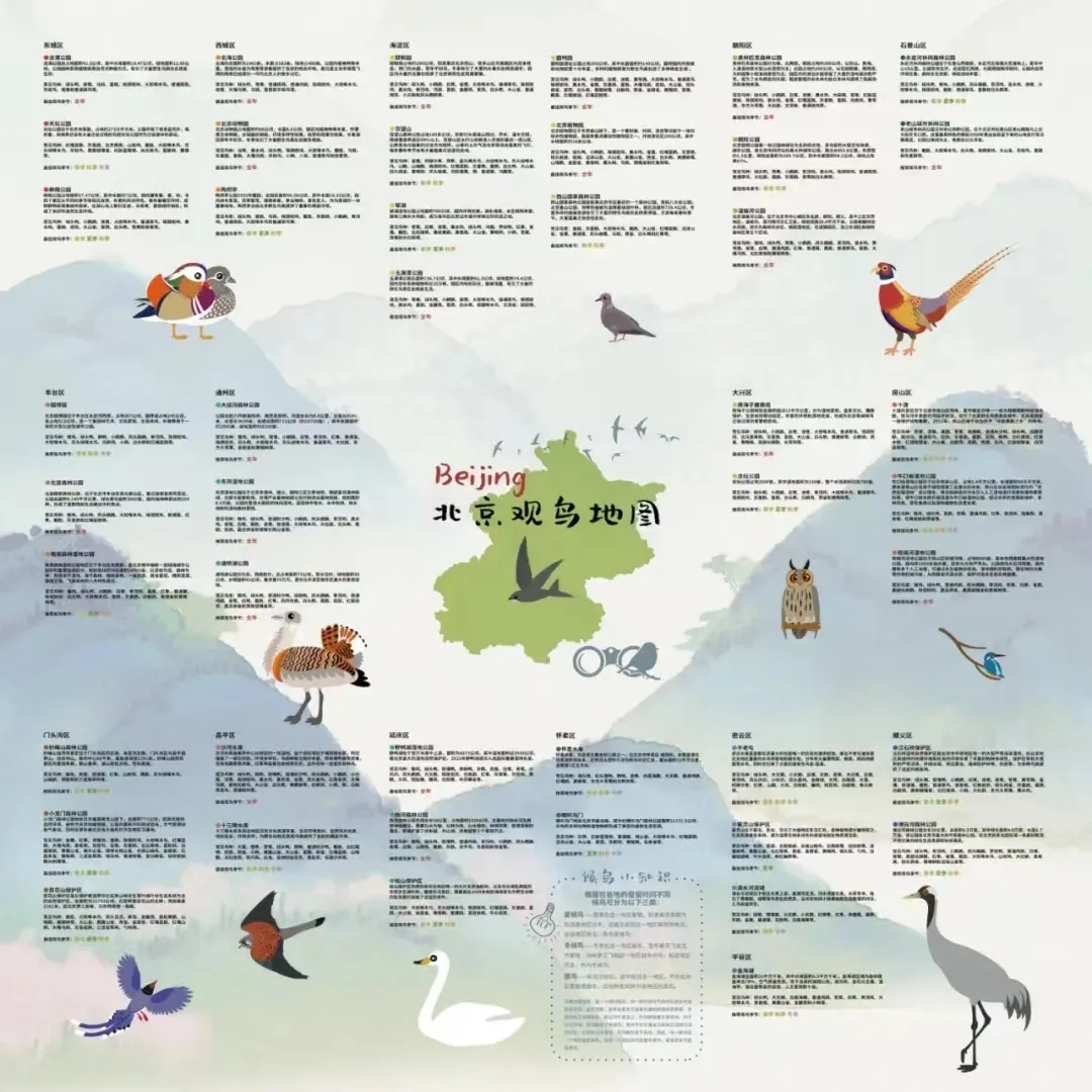 北京的愛(ài)鳥(niǎo)周 到什么地方去觀鳥(niǎo)？