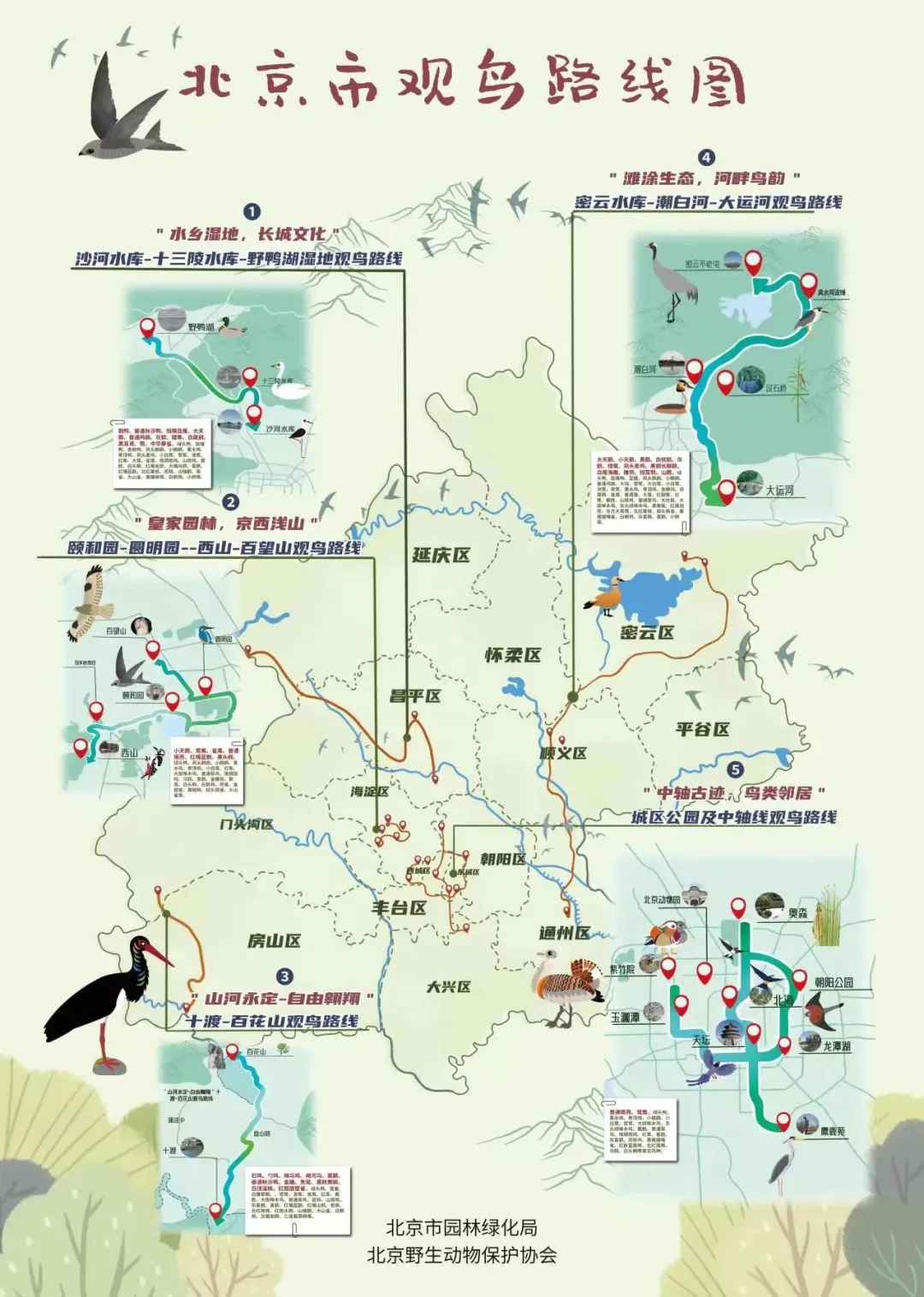 北京的愛(ài)鳥(niǎo)周 到什么地方去觀鳥(niǎo)？