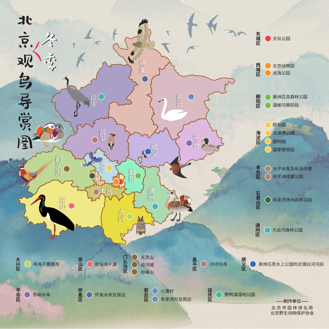 《北京冬季觀鳥導(dǎo)賞圖》發(fā)布