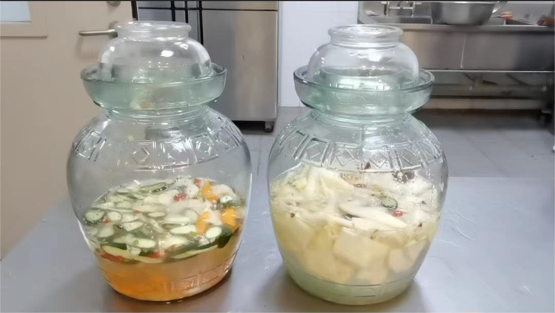 開(kāi)展“菜根”行動(dòng)