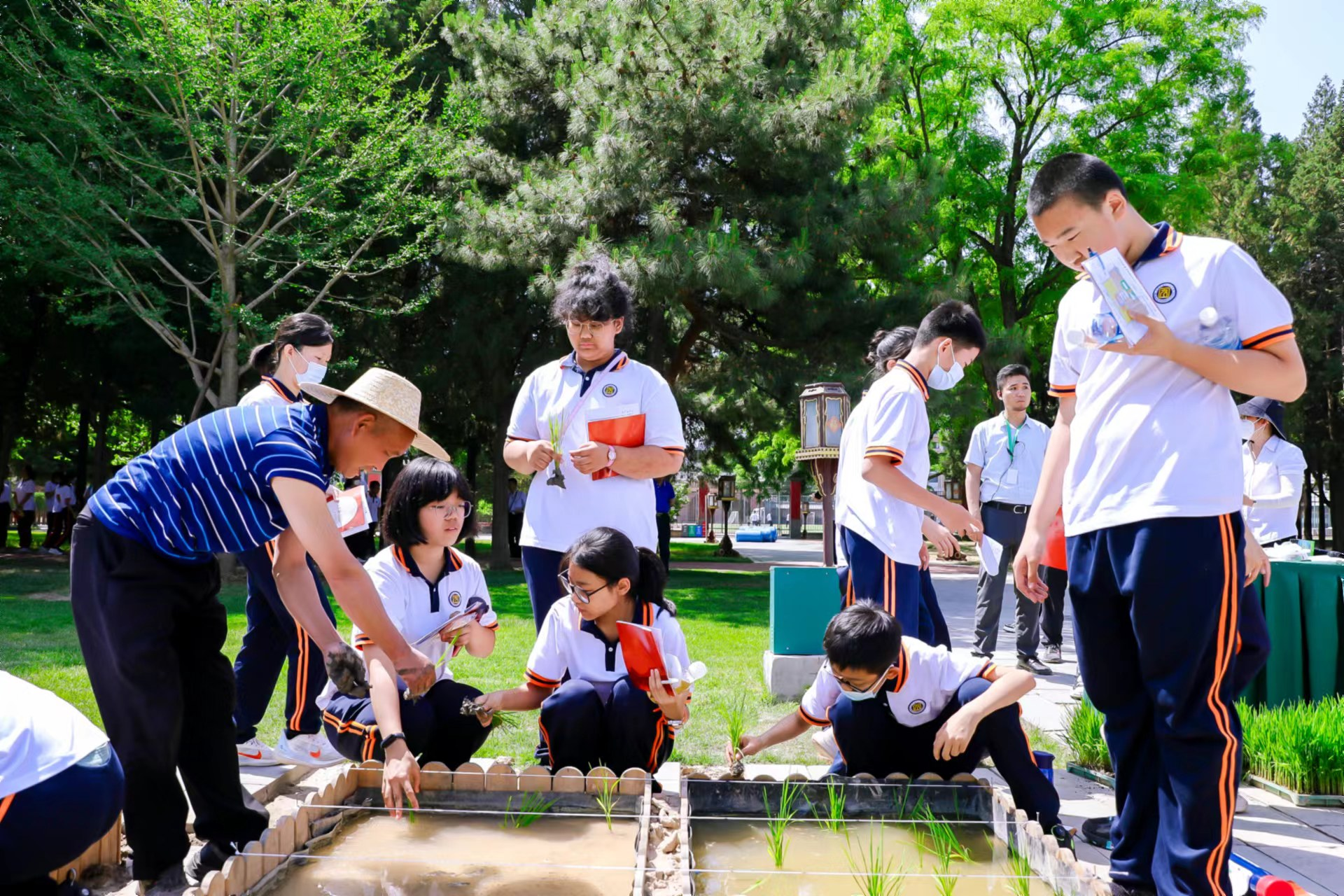 融入課程，開展糧食安全的學(xué)習(xí)實踐體驗