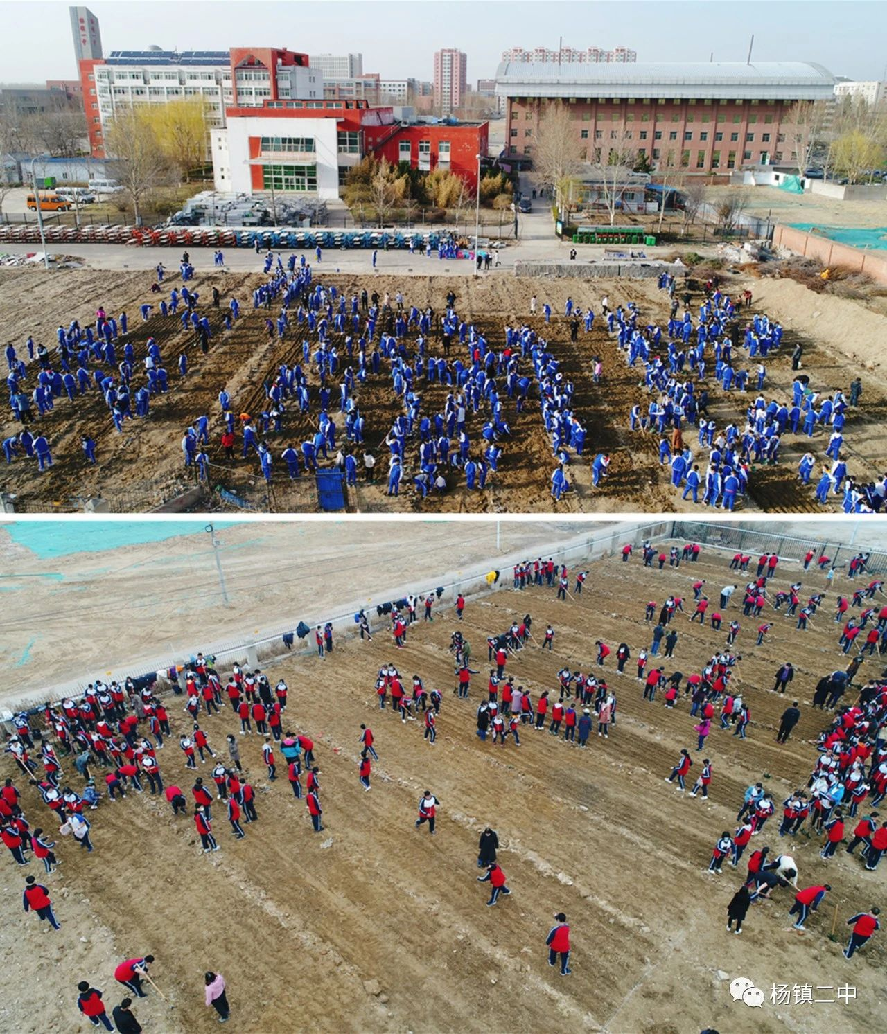 多種方式開展活動(dòng)