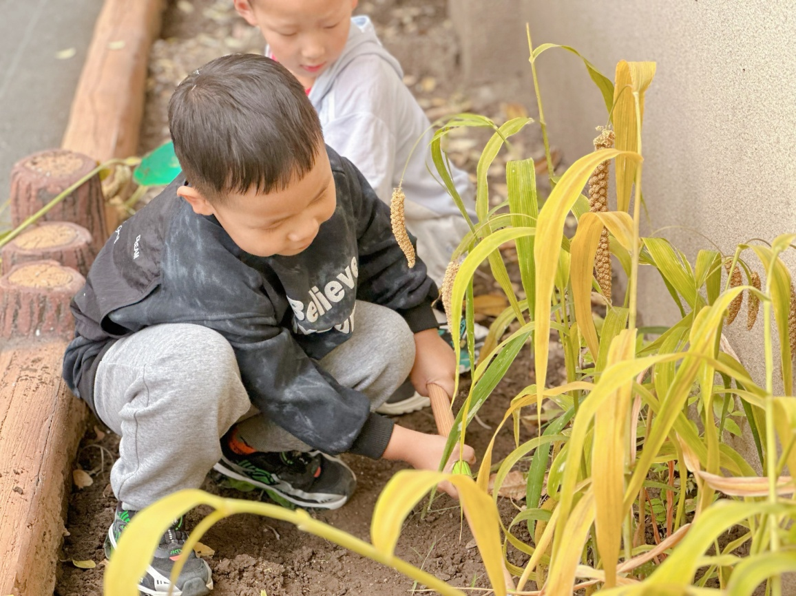 教育學(xué)生珍惜勞動成果