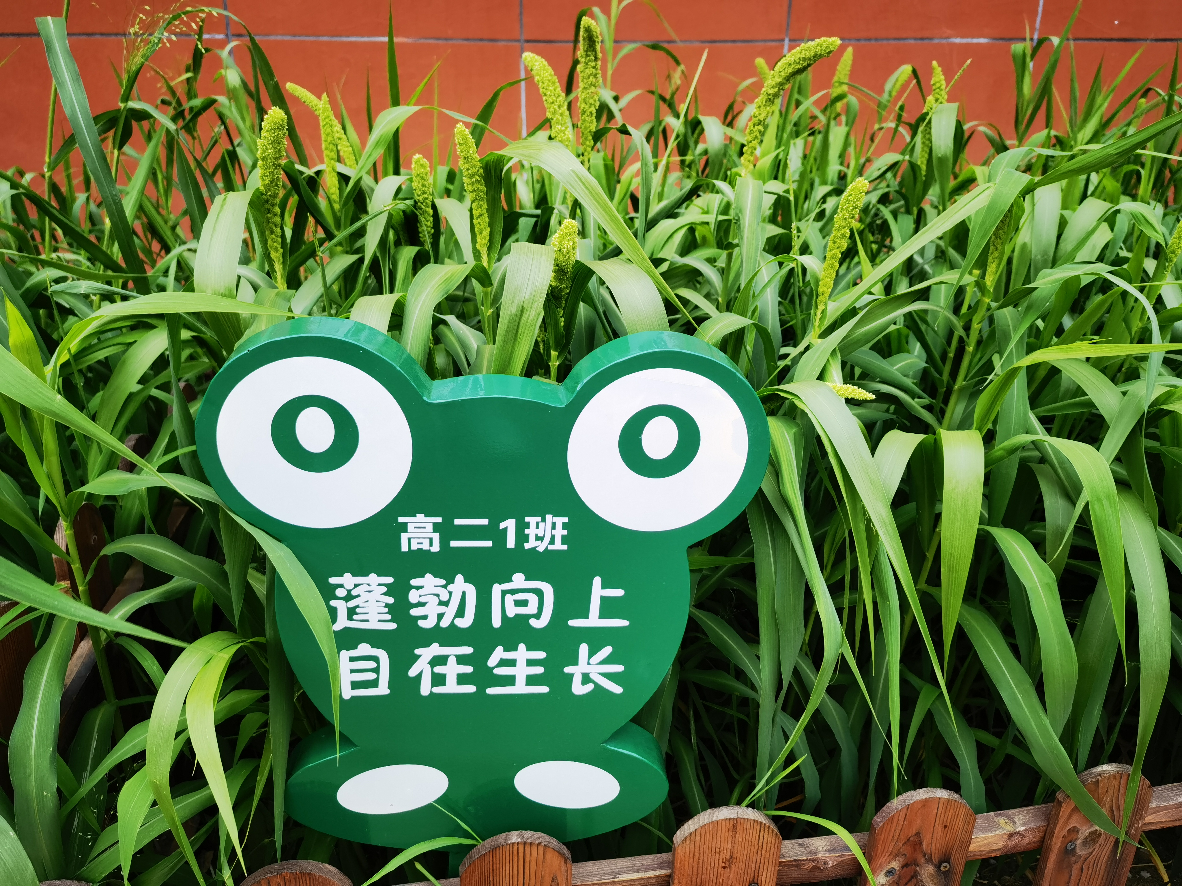 敬農(nóng)——實(shí)踐育人促進(jìn)知行合一