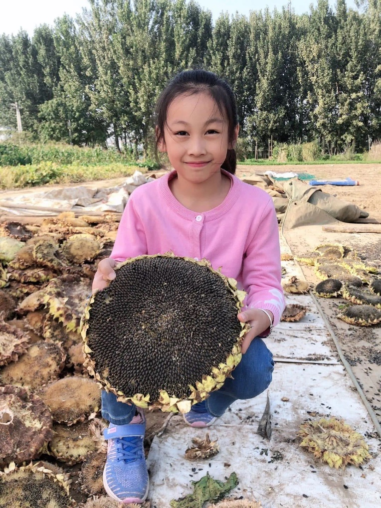 勞動體驗，切身體會