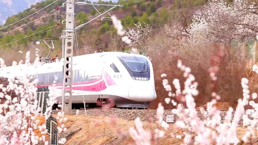 四條密云春日賞花線路