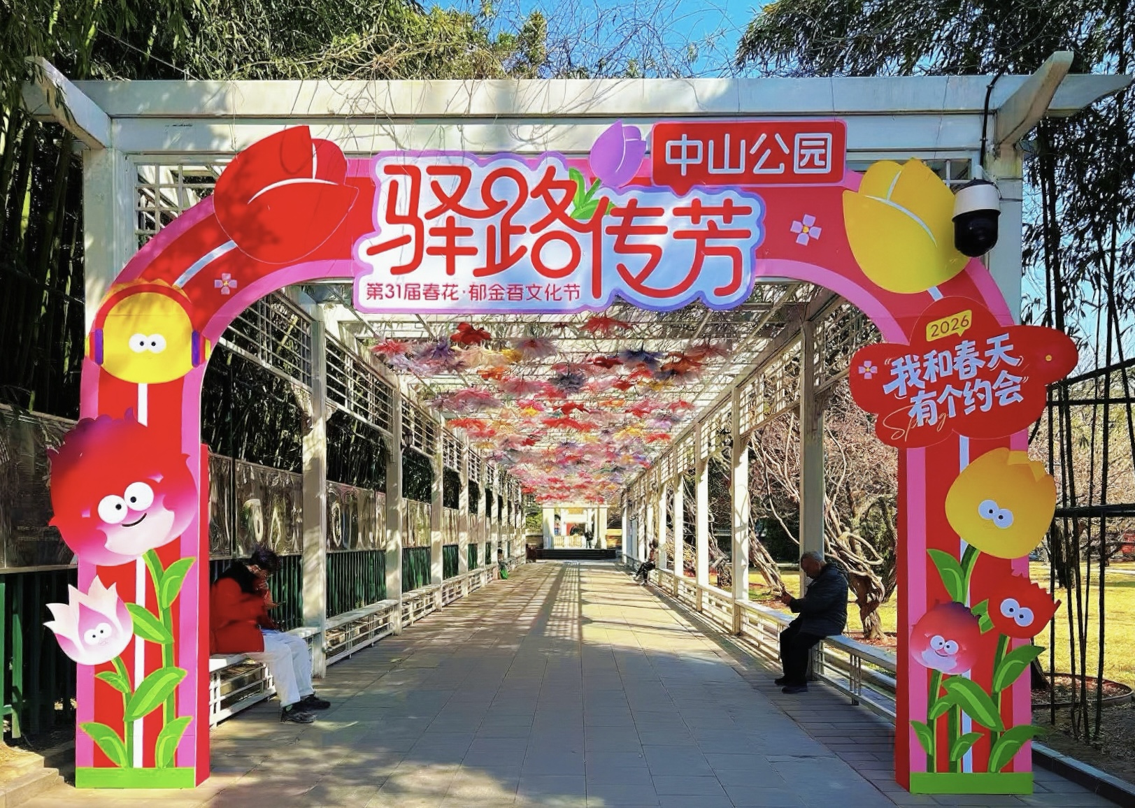 “郁”見絲路花海！中山公園郁金香文化節(jié)攝影征集正式啟動