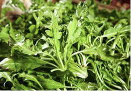 【北京疾控提醒您】野菜別亂采！這份“春日野菜食用安全指南”請收好