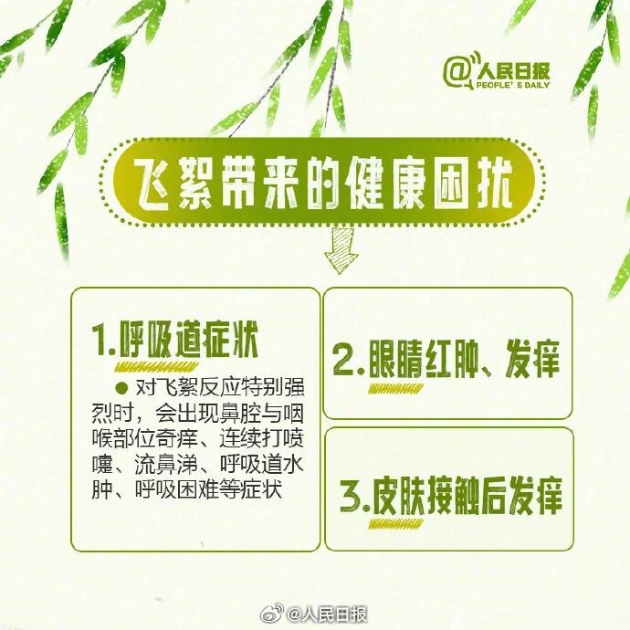 北京進入飛絮期 緊急提醒！