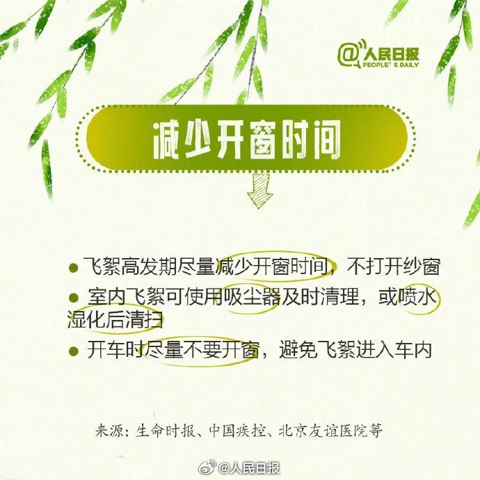 北京進入飛絮期 緊急提醒！