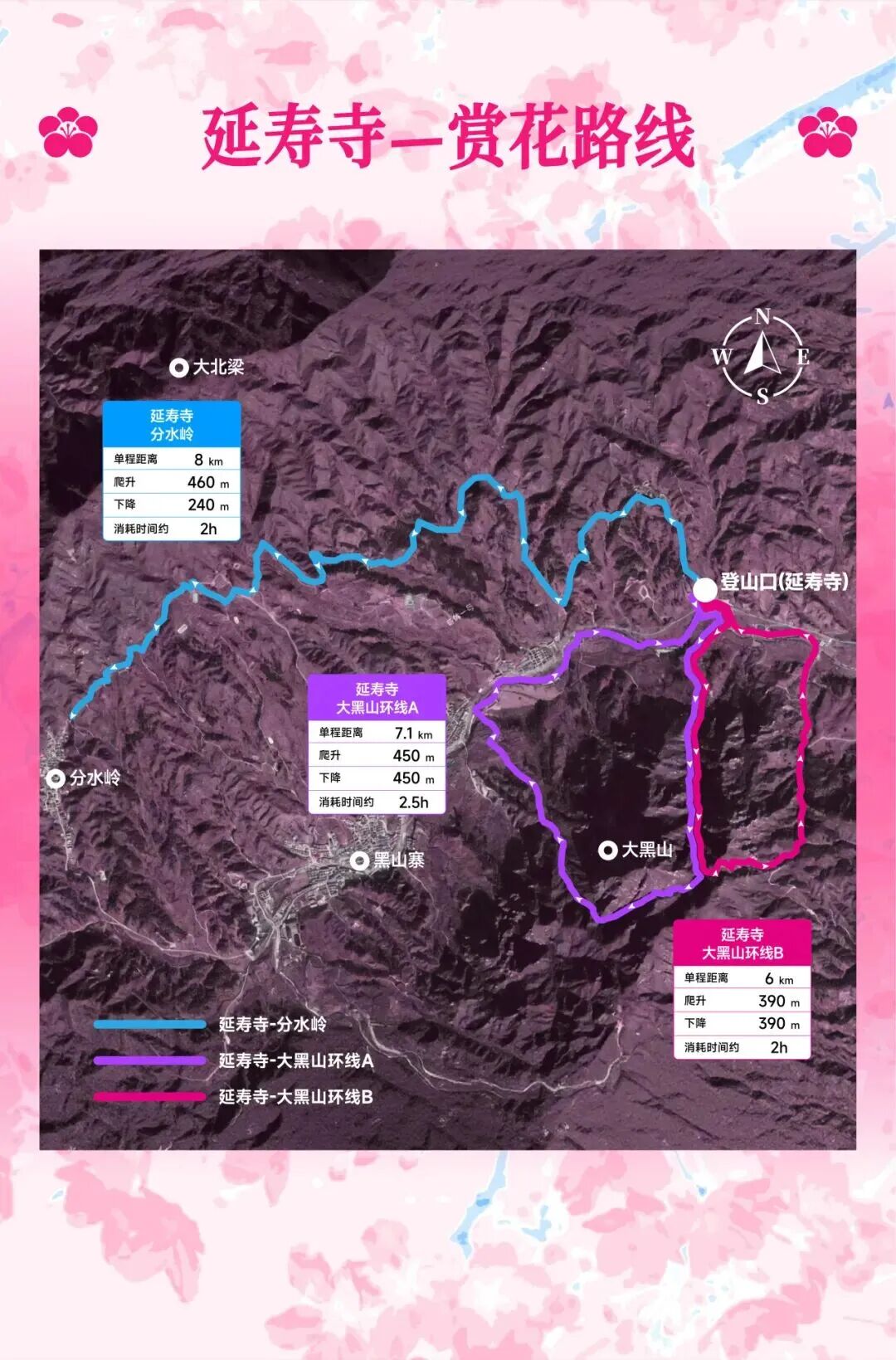 延壽最佳賞花期即將到來！解鎖徒步&騎行賞花全指南