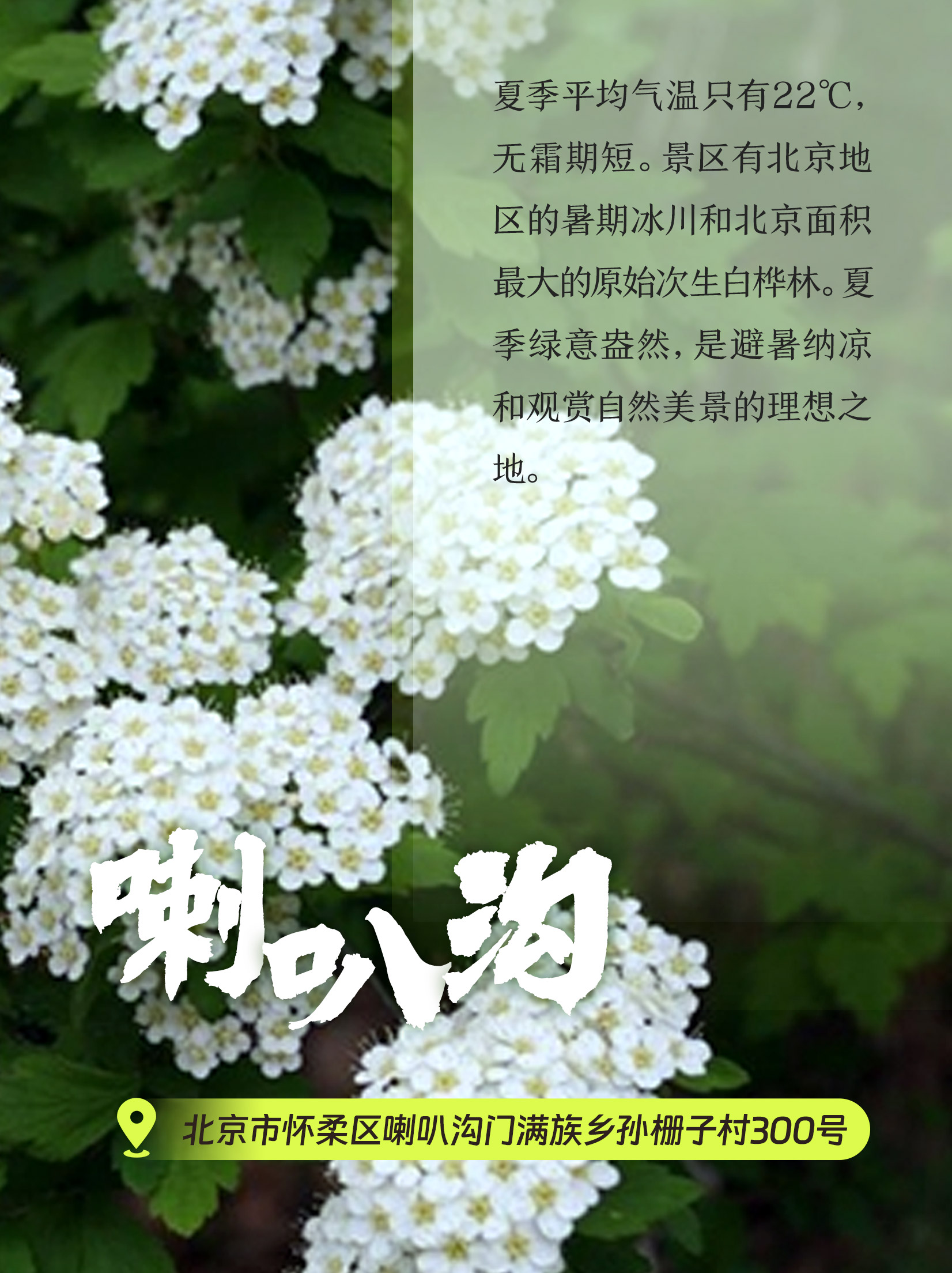 北京喇叭溝原始森林公園