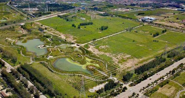 大興區(qū)狼垡公園治理前