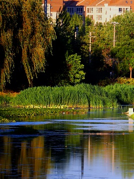 綠色低碳 美麗北京