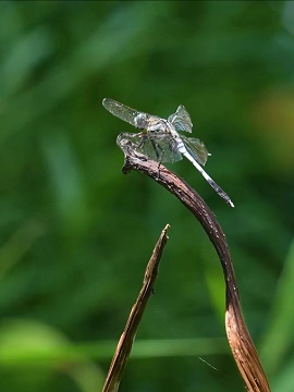 打卡低碳城市 縱享綠色生活