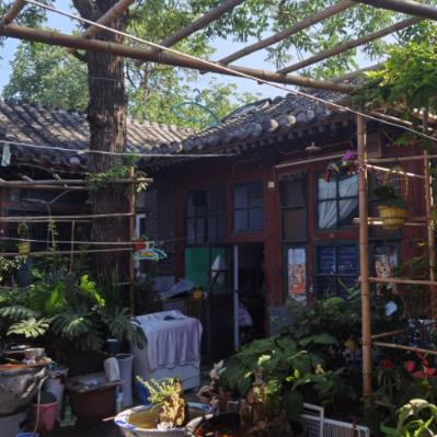 京巷新貌：鏡頭里的穿越