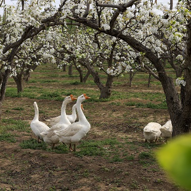 共赴大興春日之約