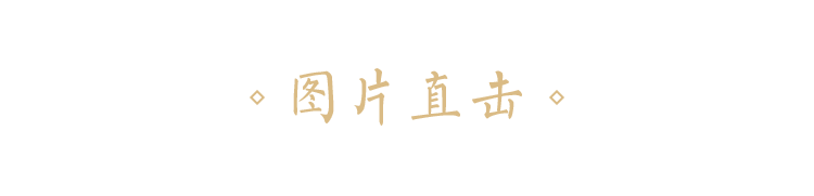 圖片直擊-seo