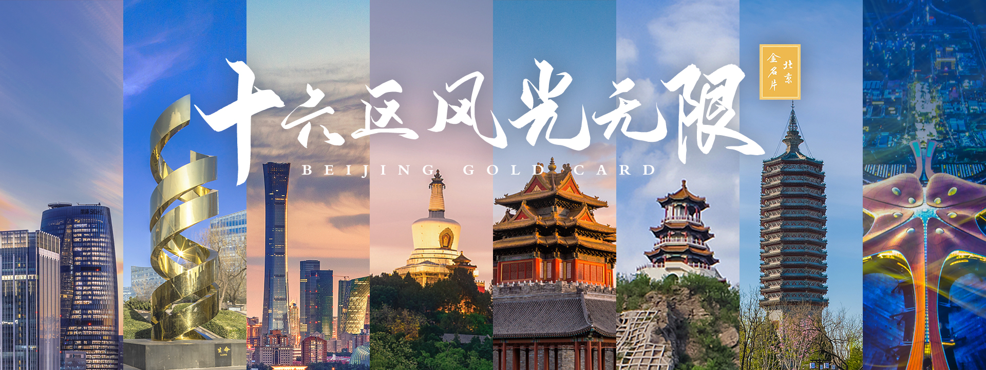 十六區(qū)風光無限