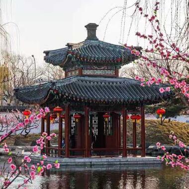 初春的大觀園處處詩(shī)意