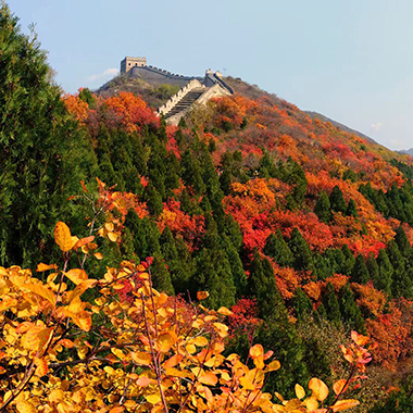 重溫北京金秋美景